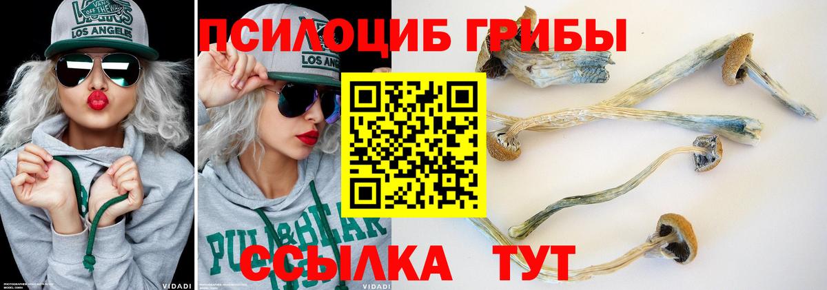 Галлюциногенные грибы прущие грибы  Вход с VPN  Верхняя Салда  Галлюциногенные грибы прущие грибы 
